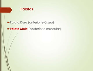 Palatos
Palato Duro (anterior e ósseo)
Palato Mole (posterior e muscular)
 