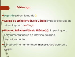 Estômago
Digestão pH em torno de 2
Cárdia ou Esfíncter/Válvula Cárdia: impedir o refluxo de
alimento para o esôfago
Piloro ou Esfíncter/Válvula Pilórico(a): impedir que o
bolo alimentar passe ao intestino delgado
prematuramente
Revestido internamente por mucosa, que apresenta
pregas
 