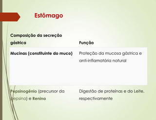 Estômago
Composição da secreção
gástrica Função
Mucinas (constituinte do muco) Proteção da mucosa gástrica e
anti-inflamatória natural
Pepsinogênio (precursor da
pepsina) e Renina
Digestão de proteínas e do Leite,
respectivamente
 