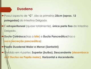 Duodeno
Possui aspecto de “C”, são os primeiros 25cm (aprox. 12
polegadas) do Intestino Delgado
É retroperitoneal (quase totalmente), única parte fixa do Intestino
Delgado.
Ducto Colédoco(traz a bile) e Ducto Pancreático(traz o
suco/secreção pancreática)
Papila Duodenal Maior e Menor (Santorini)
Dividido em 4 partes: Superior (bulbo), Descendente (desemboca
os 2 Ductos na Papila maior), Horizontal e Ascendente.
 