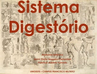 Sistema
Digestório
Anatomia Sistêmica
Aluno: Pedro Nogueira Clementoni
Professor: Roberto Yamada
UNIOESTE – CAMPUS FRANCISCO BELTRÃO
 