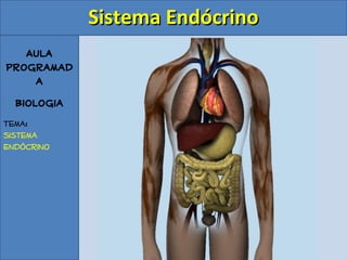 Aula
Programad
a
Biologia
Tema:
Sistema
Endócrino
Sistema EndócrinoSistema Endócrino
 