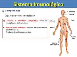 2) Componentes
Órgãos do sistema imunológico
Sistema ImunológicoSistema Imunológico
e) Tonsilas e adenóides (amígdalas): Local de
multiplicação de leucócitos.
f) Medula óssea vermelha: Local de amadurecimento
dos linfócitos B.
Produção de células sanguíneas.
AdenóideAdenóide
Tonsilas
Linfonod
o
 