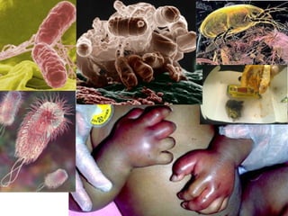 Aula SISTEMA INTEGRADO DE GESTÃO.pdf