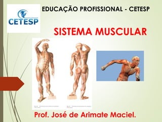 SISTEMA MUSCULAR
Prof. José de Arimate Maciel.
EDUCAÇÃO PROFISSIONAL - CETESP
 