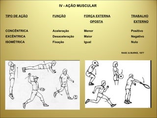 IV - AÇÃO MUSCULAR TIPO DE AÇÃO FUNÇÃO FORÇA EXTERNA TRABALHO   OPOSTA     EXTERNO   CONCÊNTRICA Aceleração Menor Positivo EXCÊNTRICA Desaceleração Maior Negativo ISOMÉTRICA Fixação Igual Nulo   RASC & BURKE, 1977 