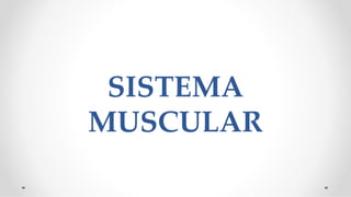 SISTEMA
MUSCULAR
 