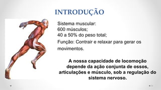 Sistema muscular:
600 músculos;
40 a 50% do peso total;
Função: Contrair e relaxar para gerar os
movimentos.
A nossa capacidade de locomoção
depende da ação conjunta de ossos,
articulações e músculo, sob a regulação do
sistema nervoso.
INTRODUÇÃO
11
 