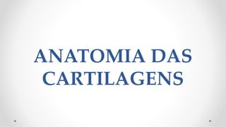 ANATOMIA DAS
CARTILAGENS
 
