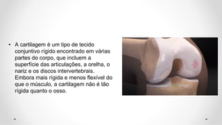• A cartilagem é um tipo de tecido
conjuntivo rígido encontrado em várias
partes do corpo, que incluem a
superfície das articulações, a orelha, o
nariz e os discos intervertebrais.
Embora mais rígida e menos flexível do
que o músculo, a cartilagem não é tão
rígida quanto o osso.
 