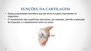 FUNÇÕES DA CARTILAGEM
• Essas propriedades permitem que ela tenha funções importantes no
organismo.
• O revestimento das superfícies articulares, por exemplo, permite a absorção
de impactos e o deslizamento entre os ossos.
 