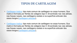 TIPOS DE CARTILAGEM
• Cartilagem hialina: tipo mais comum de cartilagem no corpo humano. Sua
matriz é formada por fibrilas de colágeno tipo II. Encontrada nas vias aéreas,
nas fossas nasais, nas cartilagens costais e na superfície articular dos
ossos longos (cartilagem articular).
• Cartilagem hialina: tipo mais comum de cartilagem no corpo humano. Sua
matriz é formada por fibrilas de colágeno tipo II. Encontrada nas vias aéreas,
nas fossas nasais, nas cartilagens costais e na superfície articular dos
ossos longos (cartilagem articular).
 