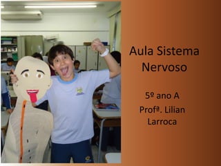 Aula Sistema Nervoso 5º ano A Profª. Lilian Larroca 