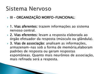    III – ORGANIZAÇÃO MORFO-FUNCIONAL:

   1. Vias aferentes: trazem informações ao sistema
    nervoso central.
   2. Vias eferentes: levam a resposta elaborada ao
    órgão efetuador da resposta (músculo ou glândula).
   3. Vias de associação: analisam as informações,
    armazenam-nas sob a forma de memória,elaboram
    padrões de resposta ou geram respostas
    espontâneas. Quanto mais neurônios de associação,
    mais refinada será a resposta.
 