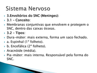    3.Envoltórios do SNC (Meninges):
   3.1 – Conceito:
   Membranas conjuntivas que envolvem e protegem o
    SNC, dentro das caixas ósseas.
   3.2 – Tipos:
   Dura-máter: mais externa, forma um saco fechado.
   a. Espinhal (1º folheto).
   b. Encefálica (2º folheto).
   Aracnóide (média).
   Pia-máter: mais interna. Responsável pela forma do
    SNC.
 
