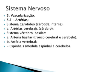    5. Vascularização:
   5.1 – Artérias:
   Sistema Carotídeo (carótida interna):
   a. Artérias cerebrais (cérebro):
   Sistema vértebro-basilar:
   a. Artéria basilar (tronco cerebral e cerebelo).
   b. Artéria vertebral:
   - Espinhais (medula espinhal e cerebelo).
 