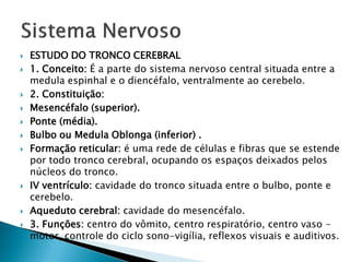    ESTUDO DO TRONCO CEREBRAL
   1. Conceito: É a parte do sistema nervoso central situada entre a
    medula espinhal e o diencéfalo, ventralmente ao cerebelo.
   2. Constituição:
   Mesencéfalo (superior).
   Ponte (média).
   Bulbo ou Medula Oblonga (inferior) .
   Formação reticular: é uma rede de células e fibras que se estende
    por todo tronco cerebral, ocupando os espaços deixados pelos
    núcleos do tronco.
   IV ventrículo: cavidade do tronco situada entre o bulbo, ponte e
    cerebelo.
   Aqueduto cerebral: cavidade do mesencéfalo.
   3. Funções: centro do vômito, centro respiratório, centro vaso -
    motor, controle do ciclo sono-vigília, reflexos visuais e auditivos.
 