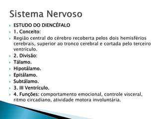    ESTUDO DO DIENCÉFALO
   1. Conceito:
   Região central do cérebro recoberta pelos dois hemisférios
    cerebrais, superior ao tronco cerebral e cortada pelo terceiro
    ventrículo.
   2. Divisão:
   Tálamo.
   Hipotálamo.
   Epitálamo.
   Subtálamo.
   3. III Ventrículo.
   4. Funções: comportamento emocional, controle visceral,
    ritmo circadiano, atividade motora involuntária.
 