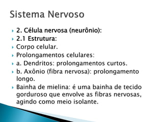    2. Célula nervosa (neurônio):
   2.1 Estrutura:
   Corpo celular.
   Prolongamentos celulares:
   a. Dendritos: prolongamentos curtos.
   b. Axônio (fibra nervosa): prolongamento
    longo.
   Bainha de mielina: é uma bainha de tecido
    gorduroso que envolve as fibras nervosas,
    agindo como meio isolante.
 
