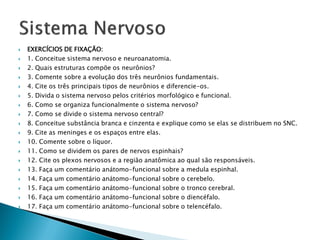    EXERCÍCIOS DE FIXAÇÃO:
   1. Conceitue sistema nervoso e neuroanatomia.
   2. Quais estruturas compõe os neurônios?
   3. Comente sobre a evolução dos três neurônios fundamentais.
   4. Cite os três principais tipos de neurônios e diferencie-os.
   5. Divida o sistema nervoso pelos critérios morfológico e funcional.
   6. Como se organiza funcionalmente o sistema nervoso?
   7. Como se divide o sistema nervoso central?
   8. Conceitue substância branca e cinzenta e explique como se elas se distribuem no SNC.
   9. Cite as meninges e os espaços entre elas.
   10. Comente sobre o líquor.
   11. Como se dividem os pares de nervos espinhais?
   12. Cite os plexos nervosos e a região anatômica ao qual são responsáveis.
   13. Faça um comentário anátomo-funcional sobre a medula espinhal.
   14. Faça um comentário anátomo-funcional sobre o cerebelo.
   15. Faça um comentário anátomo-funcional sobre o tronco cerebral.
   16. Faça um comentário anátomo-funcional sobre o diencéfalo.
   17. Faça um comentário anátomo-funcional sobre o telencéfalo.
 