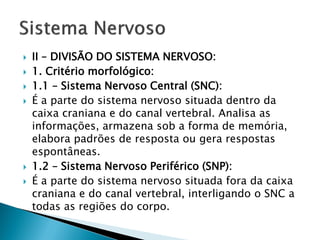    II – DIVISÃO DO SISTEMA NERVOSO:
   1. Critério morfológico:
   1.1 – Sistema Nervoso Central (SNC):
   É a parte do sistema nervoso situada dentro da
    caixa craniana e do canal vertebral. Analisa as
    informações, armazena sob a forma de memória,
    elabora padrões de resposta ou gera respostas
    espontâneas.
   1.2 – Sistema Nervoso Periférico (SNP):
   É a parte do sistema nervoso situada fora da caixa
    craniana e do canal vertebral, interligando o SNC a
    todas as regiões do corpo.
 