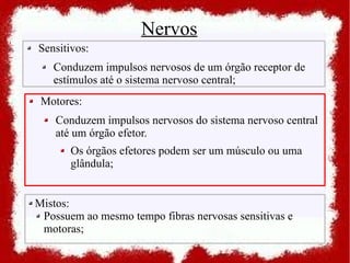 Nervos
Sensitivos:
   Conduzem impulsos nervosos de um órgão receptor de
   estímulos até o sistema nervoso central;
 Motores:
    Conduzem impulsos nervosos do sistema nervoso central
    até um órgão efetor.
       Os órgãos efetores podem ser um músculo ou uma
       glândula;


Mistos:
 Possuem ao mesmo tempo fibras nervosas sensitivas e
 motoras;
 
