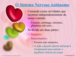 O Sistema Nervoso Autônomo
     Comanda certas atividades que
     ocorrem independentemente da
     nossa vontade;
       Coração, estômago, intestino,
       glândulas salivares...
     Se divide em duas partes:
       Simpático
       Parassimpático
          Possuem ação antagônica.
          A ação conjunta destes sistemas é
          fundamental para manter o
          equilíbrio interno do corpo!
 