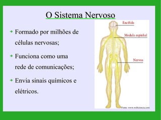 O Sistema Nervoso
➔   Formado por milhões de
    células nervosas;
➔   Funciona como uma
    rede de comunicações;
➔   Envia sinais químicos e
    elétricos.

                                     Fonte: www.webciencia.com
 