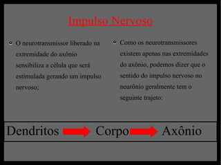 Impulso Nervoso
 O neurotransmissor liberado na     Como os neurotransmissores
 extremidade do axônio              existem apenas nas extremidades
 sensibiliza a célula que será      do axônio, podemos dizer que o
 estimulada gerando um impulso      sentido do impulso nervoso no
 nervoso;                           neurônio geralmente tem o
                                    seguinte trajeto:




Dendritos                        Corpo              Axônio
 