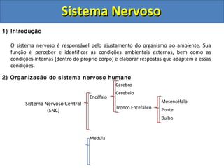 Sistema NervosoSistema Nervoso
1) Introdução
O sistema nervoso é responsável pelo ajustamento do organismo ao ambiente. Sua
função é perceber e identificar as condições ambientais externas, bem como as
condições internas (dentro do próprio corpo) e elaborar respostas que adaptem a essas
condições.
2) Organização do sistema nervoso humano
Sistema Nervoso Central
(SNC)
Encéfalo
Cérebro
Cerebelo
Tronco Encefálico
Mesencéfalo
Ponte
Bulbo
Medula
 