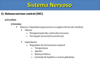Sistema NervosoSistema Nervoso
 