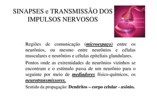 SINAPSES e TRANSMISSÃO DOS 
IMPULSOS NERVOSOS 
 Regiões de comunicação (microespaço) entre os 
neurônios, ou mesmo entre neurônios e células 
musculares e neurônios e células epiteliais glandulares. 
 Pontos onde as extremidades de neurônios vizinhos se 
encontram e o estímulo passa de um neurônio para o 
seguinte por meio de mediadores físico-químicos, os 
neurotransmissores. 
 Sentido da propagação: Dendritos – corpo celular - axônio. 
 