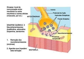 SSSSiiiinnnnaaaappppsssseeee:::: llllooooccccaaaallll ddddeeee 
ccccoooommmmuuuunnnniiiiccccaaaaççççããããoooo eeeennnnttttrrrreeee 
nnnneeeeuuuurrrrôôôônnnniiiioooossss oooouuuu eeeennnnttttrrrreeee 
nnnneeeeuuuurrrrôôôônnnniiiioooossss eeee oooouuuuttttrrrraaaassss ccccéééélllluuuullllaaaassss 
((((mmmmúúúússssccccuuuulllloooossss,,,, ppppoooorrrr eeeexxxx....)))) 
MMMMIIIITTTTOOOOCCCCÔÔÔÔNNNNDDDDRRRRIIIIAAAASSSS 
MMMMIIIIOOOOFFFFIIIIBBBBRRRRIIIILLLLAAAA 
PPPPooootttteeeennnncccciiiiaaaallll ddddeeee AAAAççççããããoooo 
VVVVeeeessssííííccccuuuullllaaaassss SSSSiiiinnnnááááppppttttiiiiccccaaaassss 
FFFFeeeennnnddddaaaa SSSSiiiinnnnááááppppttttiiiiccccaaaa 
NNNNeeeeuuuurrrroooottttrrrraaaannnnssssmmmmiiiissssssssoooorrrreeeessss 
AAAAxxxxôôôônnnniiiioooo 
PPPPrrrrooootttteeeeíííínnnnaaaassss 
SSSSIIIINNNNAAAAPPPPSSSSEEEE QQQQUUUUÍÍÍÍMMMMIIIICCCCAAAA  NNNNeeeeuuuurrrroooottttrrrraaaannnnssssmmmmiiiissssssssoooorrrreeeessss:::: 
AAAAcccceeeettttiiiillllccccoooolllliiiinnnnaaaa,,,, aaaaddddrrrreeeennnnaaaalllliiiinnnnaaaa 
DDDDooooppppaaaammmmiiiinnnnaaaa,,,, sssseeeerrrroooottttoooonnnniiiinnnnaaaa 
1111.... RRRReeeemmmmooooççççããããoooo ddddoooossss rrrreeeecccceeeeppppttttoooorrrraaaassss 
nnnneeeeuuuurrrroooottttrrrraaaannnnssssmmmmiiiissssssssoooorrrreeeessss 
((((eeeennnnzzzziiiimmmmaaaassss)))) 
2222.... AAAAggggeeeennnntttteeeessss qqqquuuueeee iiiimmmmppppeeeeddddeeeemmmm 
eeeessssttttaaaa rrrreeeemmmmooooççççããããoooo 
 