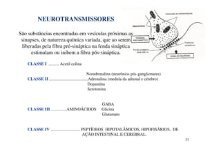 31 
NEUROTRANSMISSORES 
São substâncias encontradas em vesículas próximas as 
sinapses, de natureza química variada, que ao serem 
liberadas pela fibra pré-sináptica na fenda sináptica 
estimulam ou inibem a fibra pós-sináptica. 
CLASSE I .......... Acetil colina 
Noradrenalina (neurônios pós-ganglionares) 
CLASSE II .....................................Adrenalina (medula da adrenal e cérebro) 
Dopamina 
Serotonina 
GABA 
CLASSE III ...............AMINOÁCIDOS Glicina 
Glutamato 
CLASSE IV ............................ PEPTÍDEOS HIPOTALÂMICOS, HIPOFISÁRIOS, DE 
AÇÃO INTESTINAL E CEREBRAL. 
 