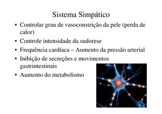 Sistema Simpático 
• Controlar grau de vasoconstrição da pele (perda de 
calor) 
• Controle intensidade da sudorese 
• Frequência cardíaca – Aumento da pressão arterial 
• Inibição de secreções e movimentos 
gastrintestinais 
• Aumento do metabolismo 
 