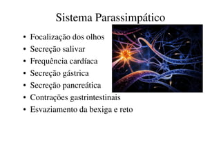 Sistema Parassimpático 
• Focalização dos olhos 
• Secreção salivar 
• Frequência cardíaca 
• Secreção gástrica 
• Secreção pancreática 
• Contrações gastrintestinais 
• Esvaziamento da bexiga e reto 
 