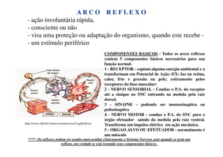 A R C O R E F L E X O 
- ação involuntária rápida, 
- consciente ou não 
- visa uma proteção ou adaptação do organismo, quando este recebe - 
- um estímulo periférico 
http://www.afh.bio.br/nervoso/nervoso5.asp#reflexo 
COMPONENTES BASICOS - Todos os arcos reflexos 
contem 5 componentes básicos necessários para sua 
função normal. 
1 - RECEPTOR - captam alguma energia ambiental e a 
transformam em Potencial de Ação (EX: luz na retina, 
calor, frio e pressão na pele; estiramento pelos 
receptores do fuso muscular) 
2 - NERVO SENSORIAL - Conduz o P.A. do receptor 
até a sinápse no SNC entrando na medula pela raiz 
dorsal. 
3 - SINAPSE - podendo ser monossinaptica ou 
polissinaptica 
4 - NERVO MOTOR - conduz o P.A. do SNC para o 
órgão efetuador saindo da medula pela raiz ventral. 
Transforma um impulso elétrico em ação mecânica. 
5 - ORGAO ALVO OU EFETUADOR - normalmente é 
um músculo 
**** Os reflexos podem ser usados para avaliar clinicamente o Sistema Nervoso, pois quando se testa um 
reflexo, em verdade se está testando seus componentes básicos. 
 