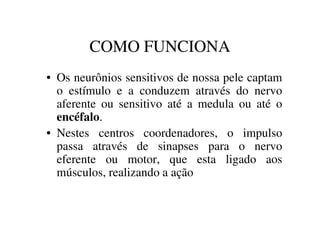 COMO FUNCIONA 
• Os neurônios sensitivos de nossa pele captam 
o estímulo e a conduzem através do nervo 
aferente ou sensitivo até a medula ou até o 
encéfalo. 
• Nestes centros coordenadores, o impulso 
passa através de sinapses para o nervo 
eferente ou motor, que esta ligado aos 
músculos, realizando a ação 
 