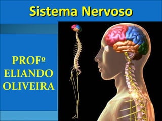 PROFº
ELIANDO
OLIVEIRA
Sistema NervosoSistema Nervoso
 