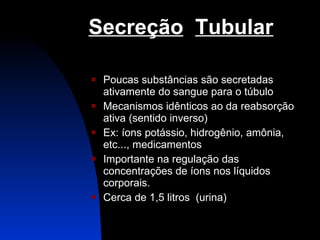 Secreção   Tubular Poucas substâncias são secretadas ativamente do sangue para o túbulo Mecanismos idênticos ao da reabsorção ativa (sentido inverso) Ex: íons potássio, hidrogênio, amônia, etc...,   medicamentos Importante na regulação das concentrações de íons nos líquidos corporais. Cerca de 1,5 litros  (urina) 