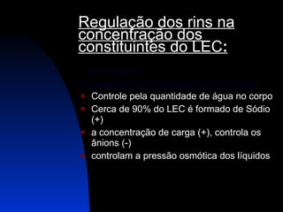 Regulação dos rins na concentração dos constituintes do LEC : Mecanismos: Regulação na concentração de íons sódio Controle pela quantidade de água no corpo Cerca de 90% do LEC é formado de Sódio (+) a concentração de carga (+), controla os ânions (-) controlam a pressão osmótica dos líquidos  