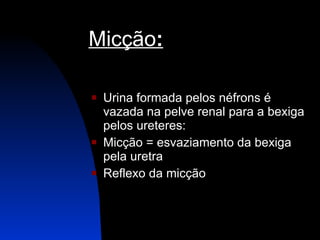 Micção : Urina formada pelos néfrons é vazada na pelve renal para a bexiga pelos ureteres: Micção = esvaziamento da bexiga pela uretra Reflexo da micção   