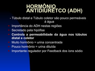 HORMÔNIO ANTIDIURÉTCO (ADH) - Túbulo distal e Túbulo coletor são pouco permeáveis á água Importância do ADH nestas regiões Secretado pela hipófise Controla a permeabilidade da água nos túbulos distal e coletor Muito hormônio = urina concentrada Pouco hormônio = urina diluída Importante regulador por Feedback dos íons sódio  