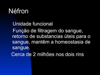Néfron     Unidade funcional Função de filtragem do sangue, retorno de substancias úteis para o sangue, mantêm a homeostasia de sangue.    Cerca de 2 milhões nos dois rins           