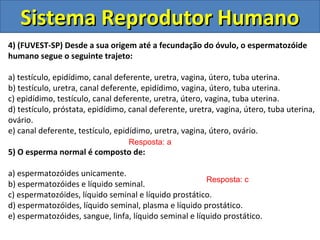 Sistema Reprodutor Humano
4) (FUVEST-SP) Desde a sua origem até a fecundação do óvulo, o espermatozóide
humano segue o seguinte trajeto:

a) testículo, epidídimo, canal deferente, uretra, vagina, útero, tuba uterina.
b) testículo, uretra, canal deferente, epidídimo, vagina, útero, tuba uterina.
c) epidídimo, testículo, canal deferente, uretra, útero, vagina, tuba uterina.
d) testículo, próstata, epidídimo, canal deferente, uretra, vagina, útero, tuba uterina,
ovário.
e) canal deferente, testículo, epidídimo, uretra, vagina, útero, ovário.
                                  Resposta: a
5) O esperma normal é composto de:

a) espermatozóides unicamente.
                                                        Resposta: c
b) espermatozóides e líquido seminal.
c) espermatozóides, líquido seminal e líquido prostático.
d) espermatozóides, líquido seminal, plasma e líquido prostático.
e) espermatozóides, sangue, linfa, líquido seminal e líquido prostático.
 