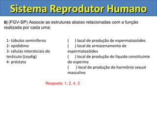 Sistema Reprodutor Humano
8) (FGV-SP) Associe as estruturas abaixo relacionadas com a função
realizada por cada uma:

 1- túbulos seminíferos              ( ) local de produção de espermatozóides
 2- epidídimo                        ( ) local de armazenamento de
 3- células intersticiais do         espermatozóides
 testículo (Leydig)                  ( ) local de produção do líquido constituinte
 4- próstata                         do esperma
                                     (   ) local de produção do hormônio sexual
                                     masculino

                         Resposta: 1, 2, 4, 3
 