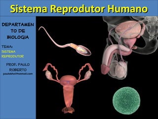 Sistema Reprodutor Humano
Departamen
   to de
  Biologia
Tema:
Sistema
Reprodutor

  Prof. Paulo
   Roberto
paulobhz@hotmail.com
 