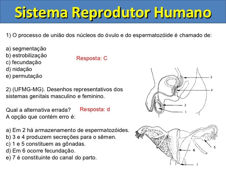 Como levantar um cânhamo de potência
