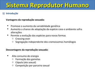 1) Introdução
Vantagens da reprodução sexuada:
 Promove o aumento da variabilidade genética
 Aumenta a chance de adaptação da espécie caso o ambiente sofra
alterações
 Permite a evolução das espécies para novas formas
o Crossing-over
o Segregação independente dos cromossomos homólogos
Desvantagens da reprodução sexuada:
 Alto consumo de energia
o Formação dos gametas
o Cópula (ato sexual)
o Competição por parceiro sexual
Sistema Reprodutor HumanoSistema Reprodutor Humano
 