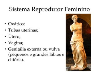 Sistema Reprodutor Feminino

•   Ovários;
•   Tubas uterinas;
•   Útero;
•   Vagina;
•   Genitália externa ou vulva
    (pequenos e grandes lábios e
    clitóris).
 